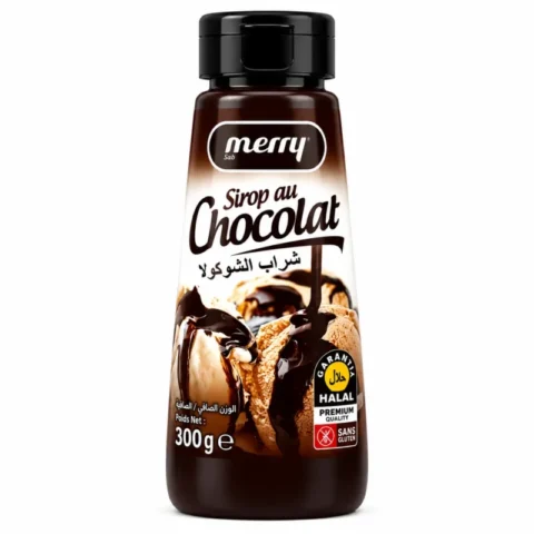 Merry sirop au chocolat sans gluten 300g