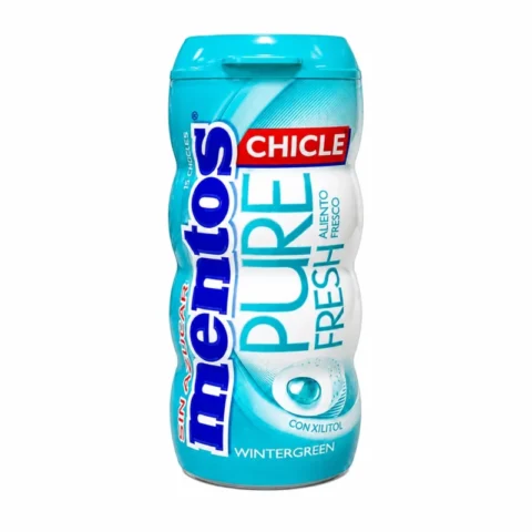 Mentos Pure Fresh Wintergreen 30g